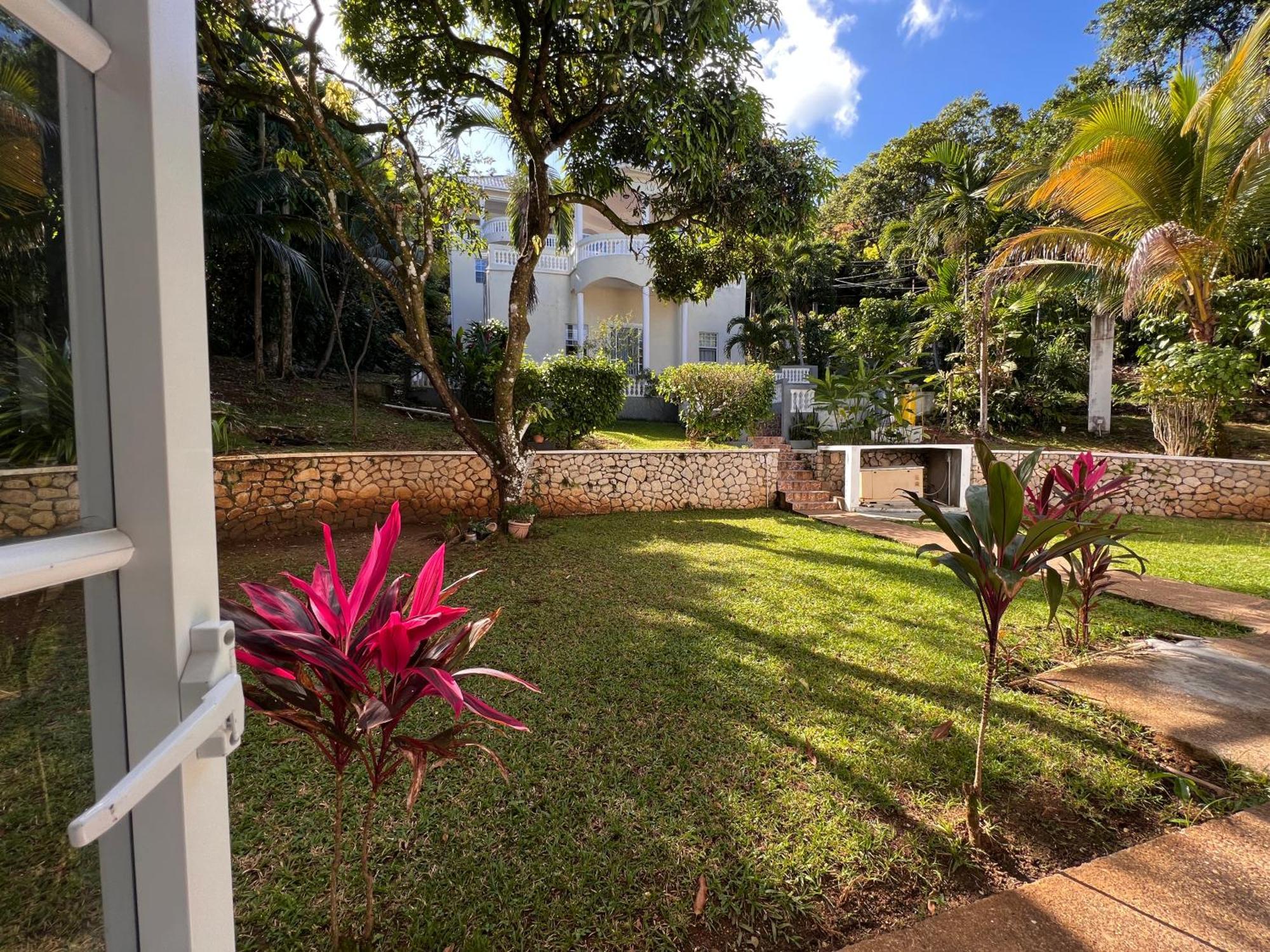 All Nations Guest House Port Antonio Værelse billede