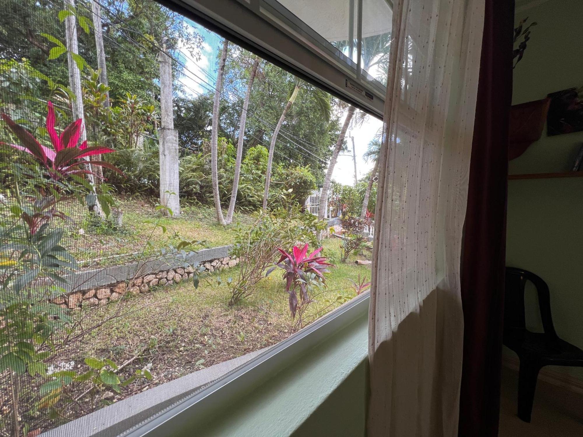 All Nations Guest House Port Antonio Værelse billede